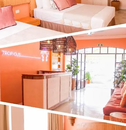 Hotel Tropicus Boutique Puerto Vallarta