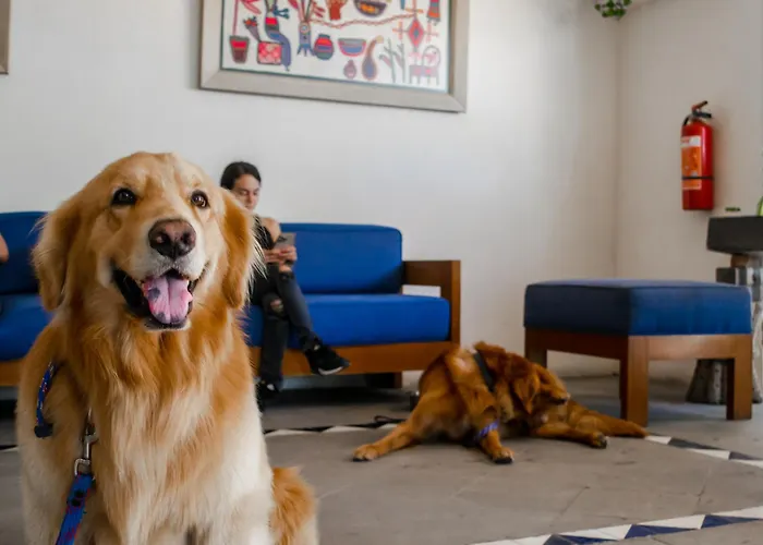 Puerto de Luna Pet Friendly&Family Suites Puerto Vallarta